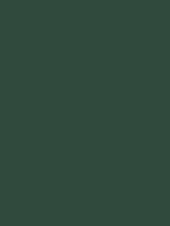 Canal Mallard Green Multi Surface Matt Emulsion