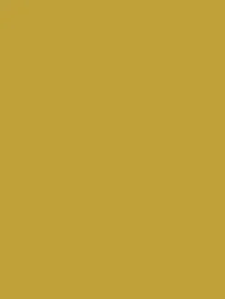 Day Trip Golden Yellow Multi Surface Matt Emulsion