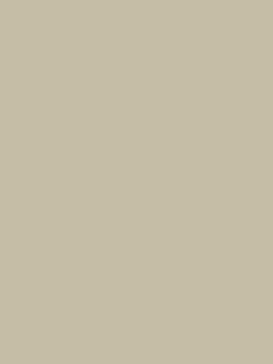 Fedora Feather Silver Grey Multi Surface Matt Emulsion