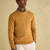 Jarvis Dark Yellow Crew Neck Knitted Jumper