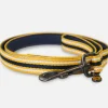 Multi Coastal Stripe Dog Lead