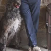 Oundle Navy Herringbone Slim Fit Trousers