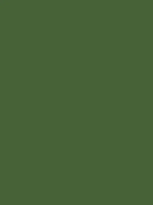 Peak Green Multi Surface Matt Emulsion