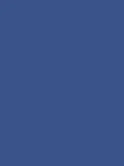 Snorkel Swim Blue Surface Matt Emulsion