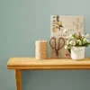 Village Store Green Multi Surface Matt Emulsion