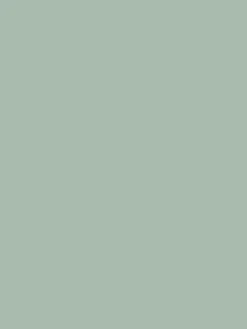 Village Store Green Multi Surface Matt Emulsion