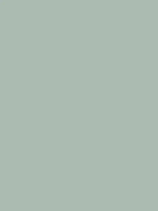 Village Store Green Multi Surface Matt Emulsion