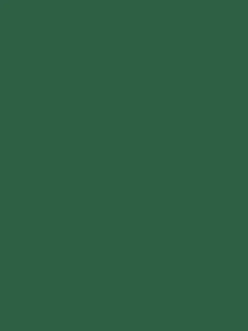 Wild Swim Green Surface Matt Emulsion