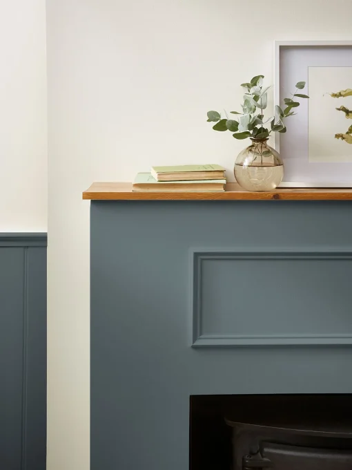 Woodlouse Grey Multi Surface Matt Emulsion